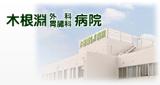 医療法人楽生会 木根淵外科胃腸科病院